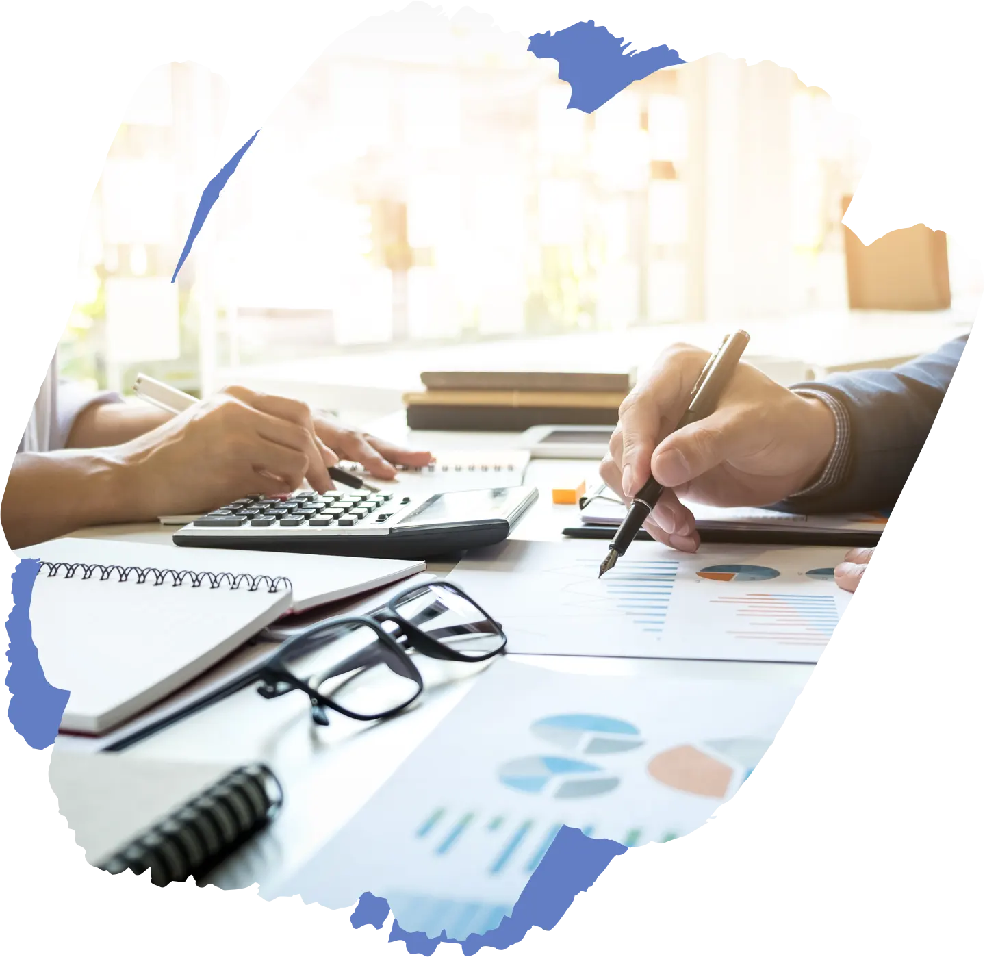 Financial Consulting Support